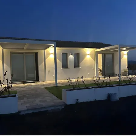 Fiori Di Cactus Agave *