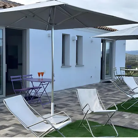 Fiori Di Cactus Agave * 奧爾比亞