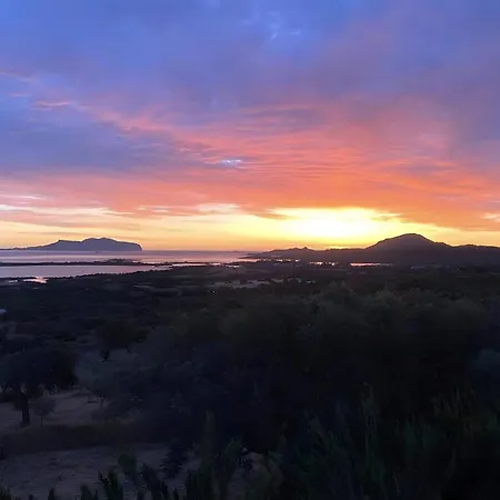 Fiori Di Cactus Agave 公寓