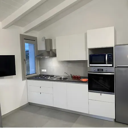 Fiori Di Cactus Agave * 奧爾比亞