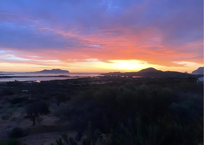 Fiori Di Cactus Agave 公寓