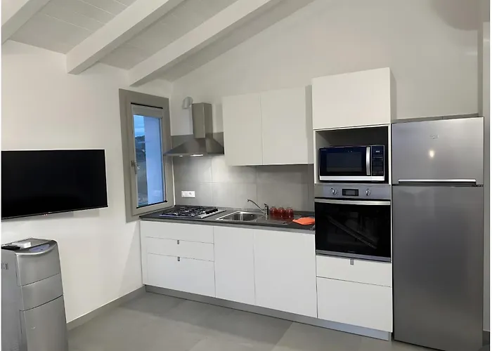 Fiori Di Cactus Agave * 奧爾比亞