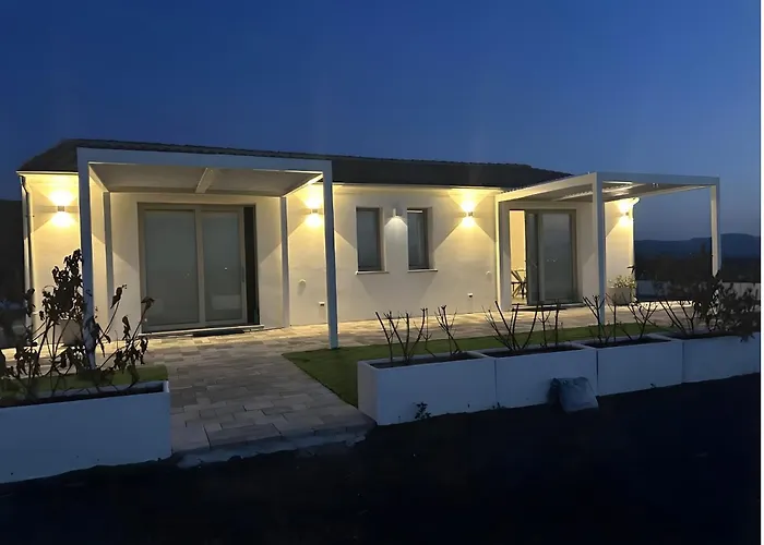 Fiori Di Cactus Agave *